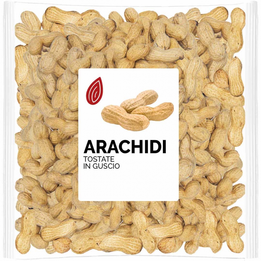 Arachidi in guscio