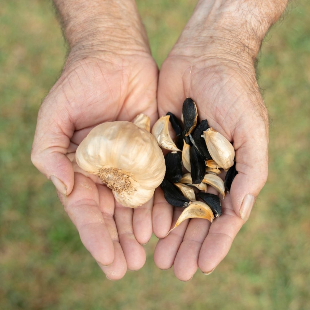 Aglio Nero fermentato