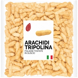 arachidi italiane in guscio