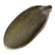 Semi Oleosi