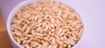 Ravioli alla barbabietola con ripieno di ricotta e pinoli