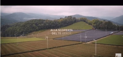 Mattarello(a)way in Giappone per Frutta e Bacche: ALLA SCOPERTA DEL TE' VERDE