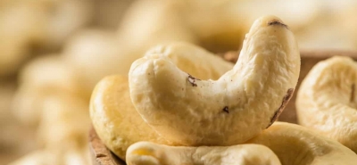 Frutta secca lipidica: che cos’è?