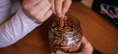 Frutta secca in allattamento