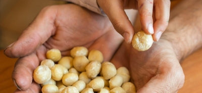 I 7 motivi per i quali non troverai mai la nostra frutta secca su Amazon