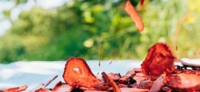 10 tipi di frutta disidratata e i loro benefici