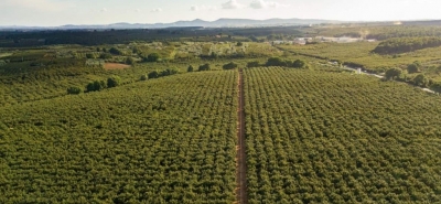 In cammino verso la sostenibilità