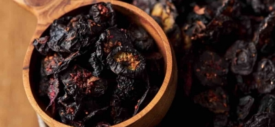 Mirtilli: benefici, varietà, valori nutrizionali e dove trovarli