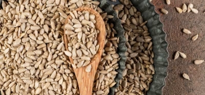 Semi di girasole: benefici, varietà, valori nutrizionali e dove trovarli