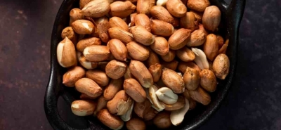 Quanti tipi di arachidi esistono?