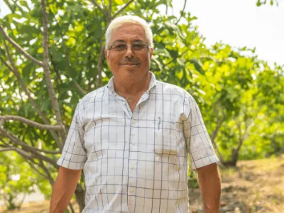 Filiera Frutta e Bacche Fichi