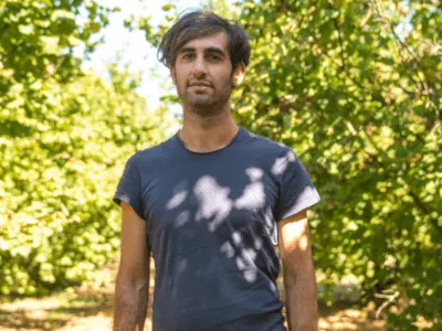 Filiera Frutta e Bacche Nocciole